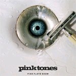 Pink Tones - A Pink Floyd Live Show