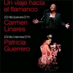 Un viaje hacia el flamenco