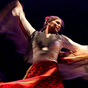 Granada es Flamenco