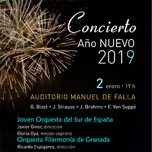 Concierto de Año Nuevo 2019