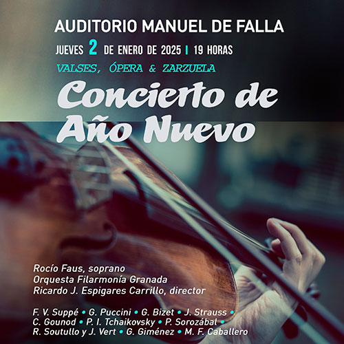 Concierto de Año Nuevo 