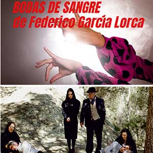 Bodas de sangre