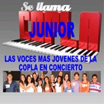 Se llama copla junior