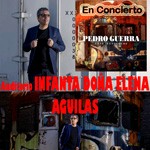 Pedro Guerra en concierto