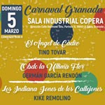 Carnaval Granada