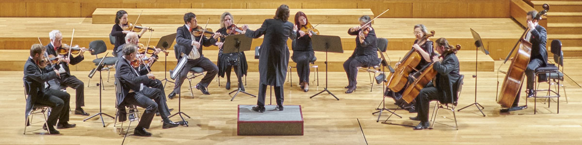 Auditorio Manuel de Falla